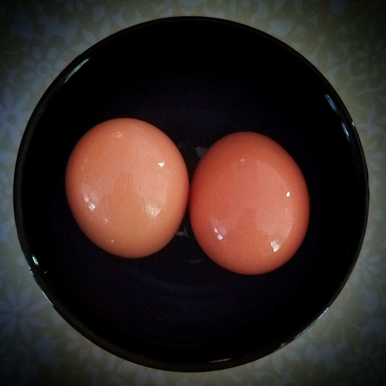 Egg